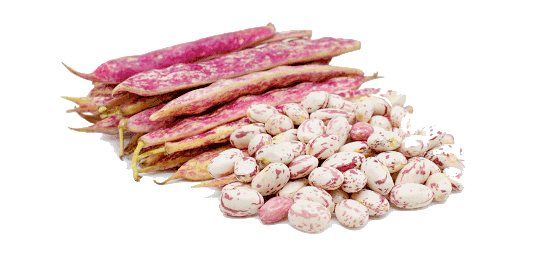 Şanlı Toptan Gıda