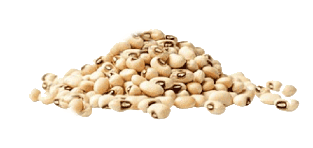 Şanlı Toptan Gıda