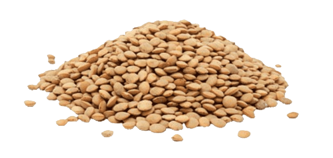 Şanlı Toptan Gıda