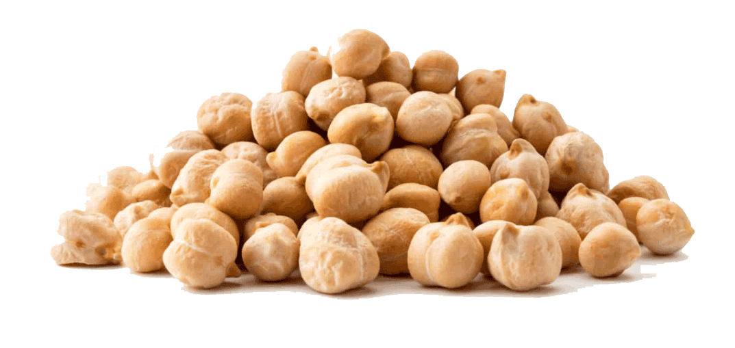 Şanlı Toptan Gıda